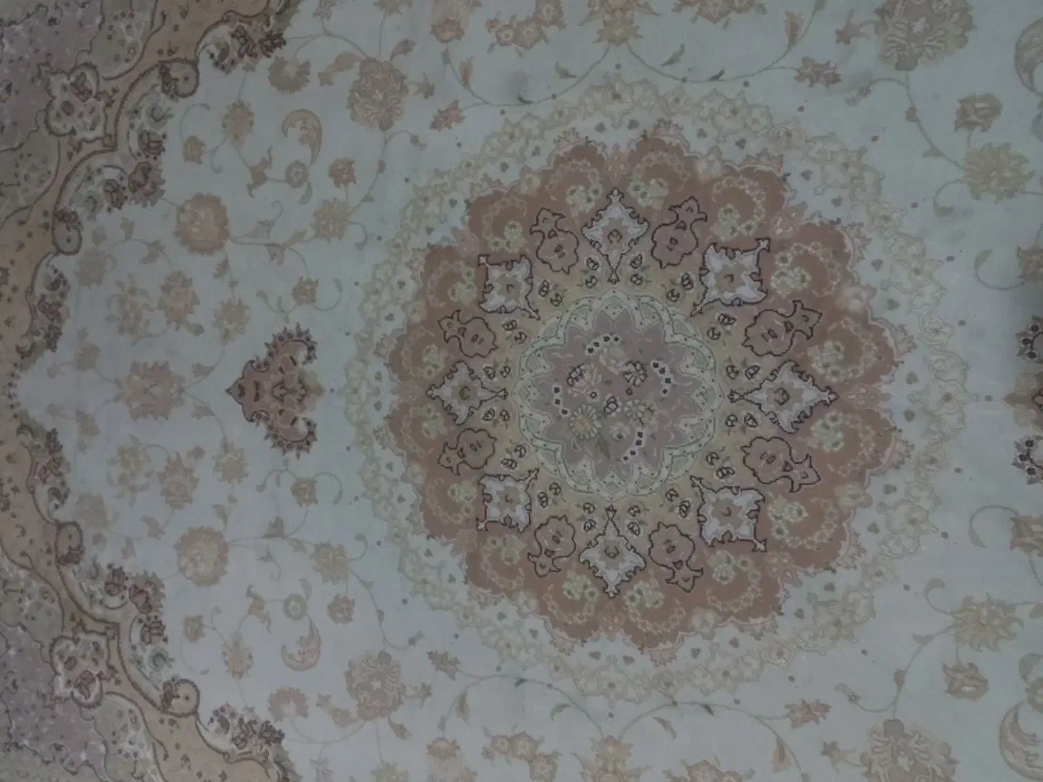 فرش ۲عدد|فرش|کرج, بنیاد|دیوار