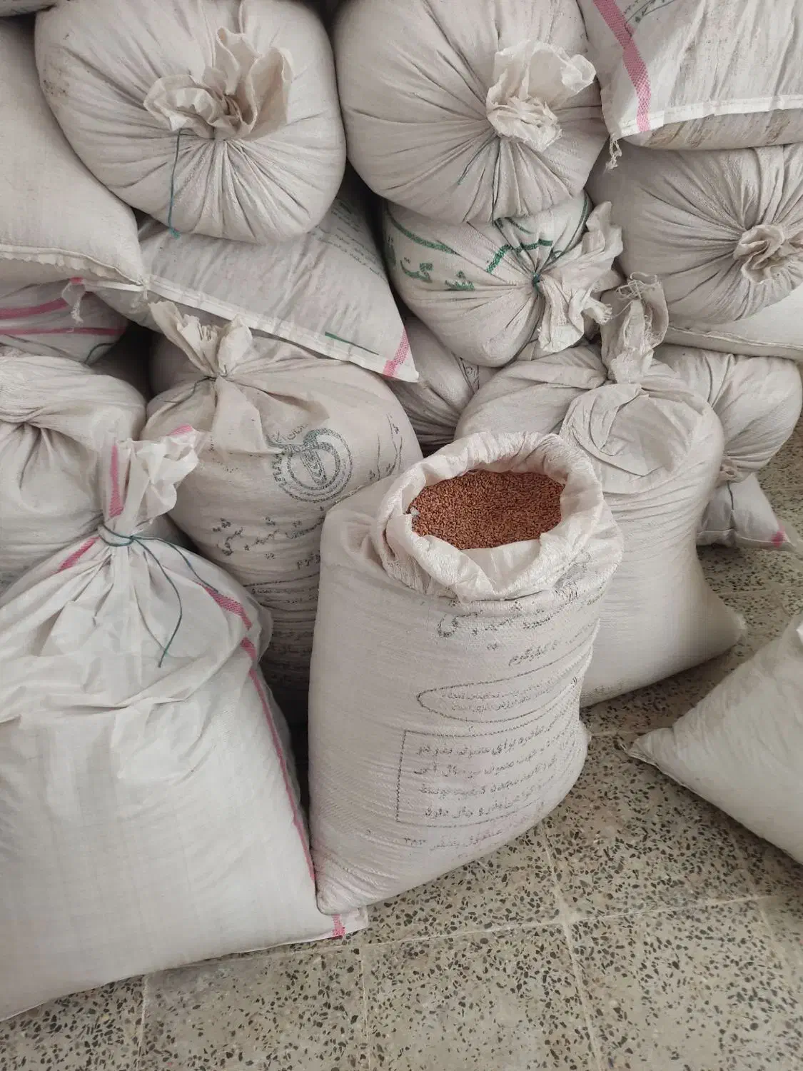 گندم بذری|کلکسیون سکه، تمبر، اسکناس|دزفول, |دیوار