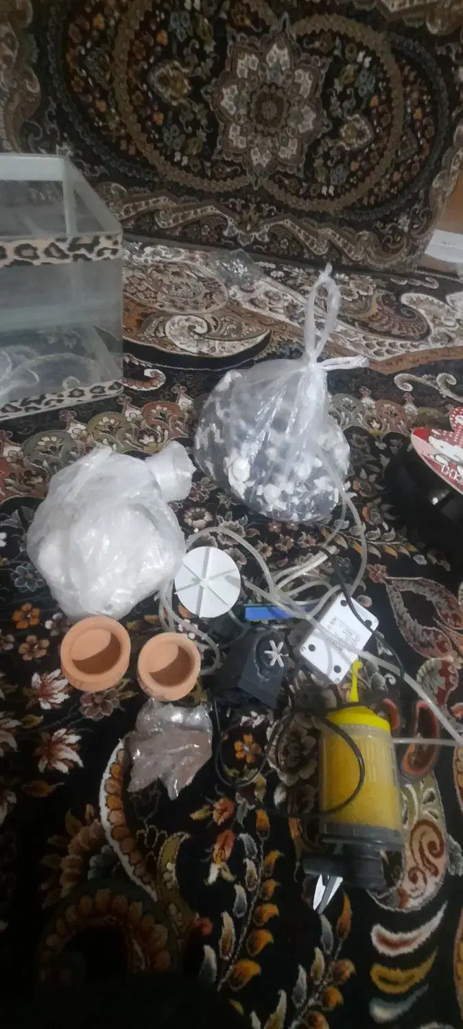 آکواریوم شیشه خم با لوازم|ماهی|اقبالیه, |دیوار