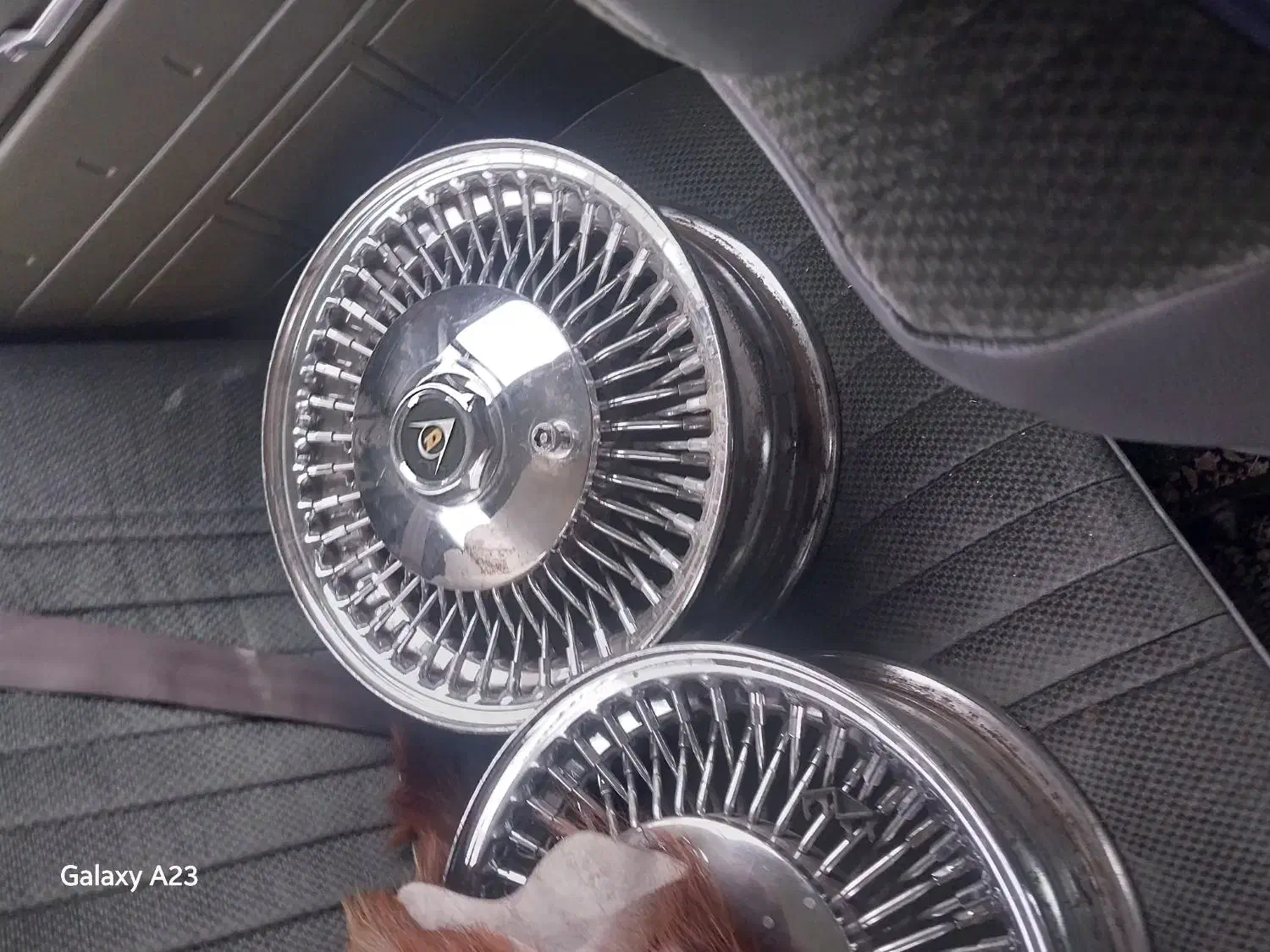 رینگ کالسگه ای|کلکسیون و سرگرمی|رباط‌کریم, رباط‌کریم|دیوار