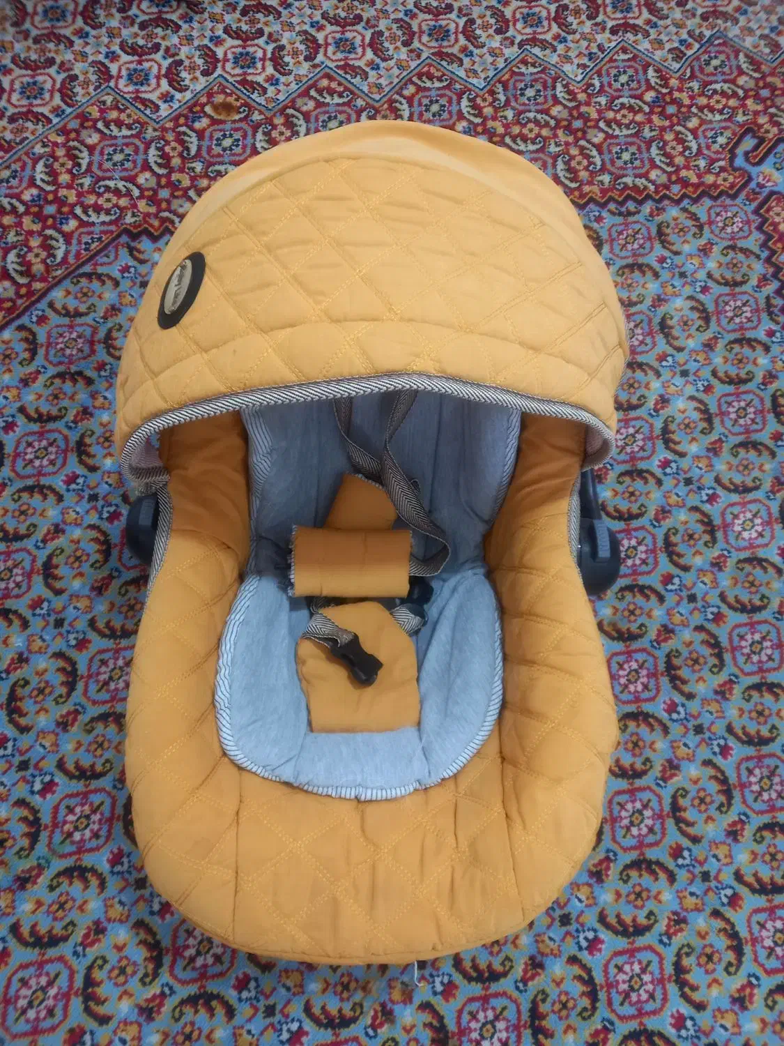 کریردرحدنو|کالسکه و لوازم جانبی|کازرون, |دیوار