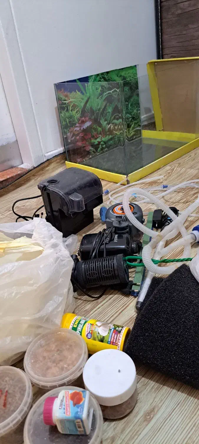 آکواریوم|ماهی|تهران, شهرک امام خمینی|دیوار