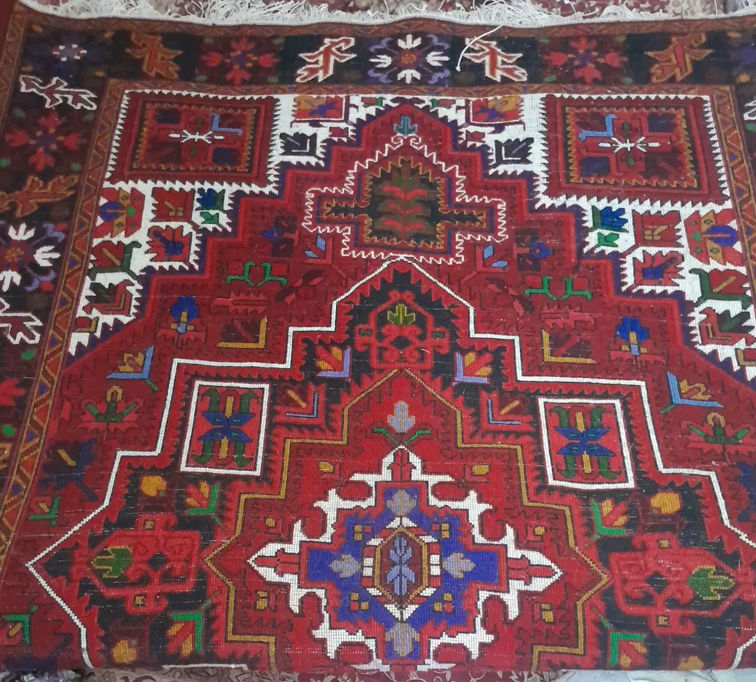 فرش ۶ متری|فرش|اهر, |دیوار