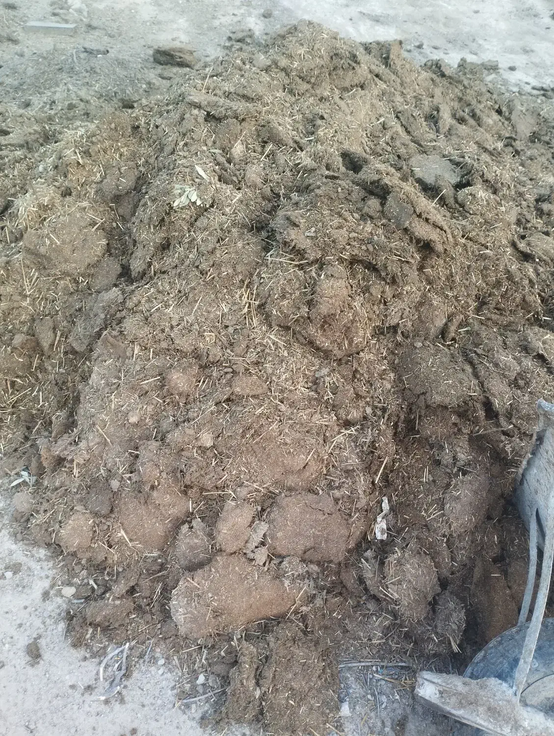 گوسفندی|لوازم جانبی حیوانات|یزد, |دیوار