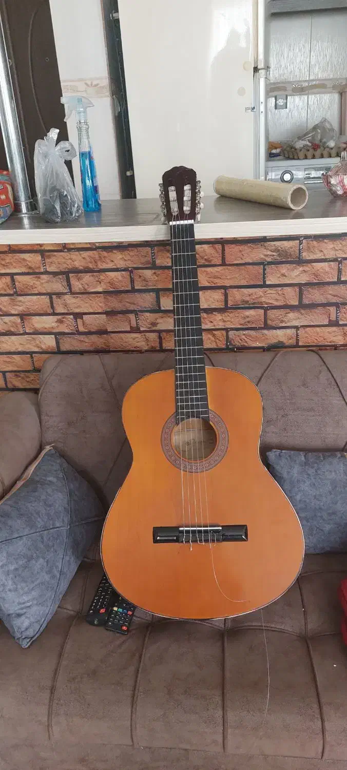 گیتار حرفه ای مدل اریا  اندونری درحداک|گیتار، بیس، امپلیفایر|بجنورد, |دیوار