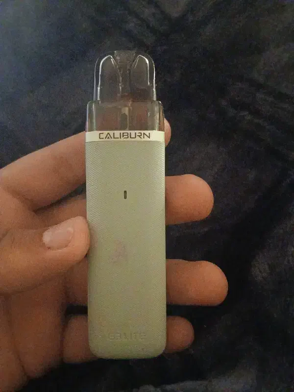 پاد|زیورآلات و اکسسوری|کیش, |دیوار