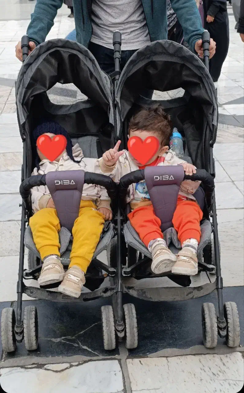 کالسکه ۲ قلو|کالسکه و لوازم جانبی|ساری, |دیوار