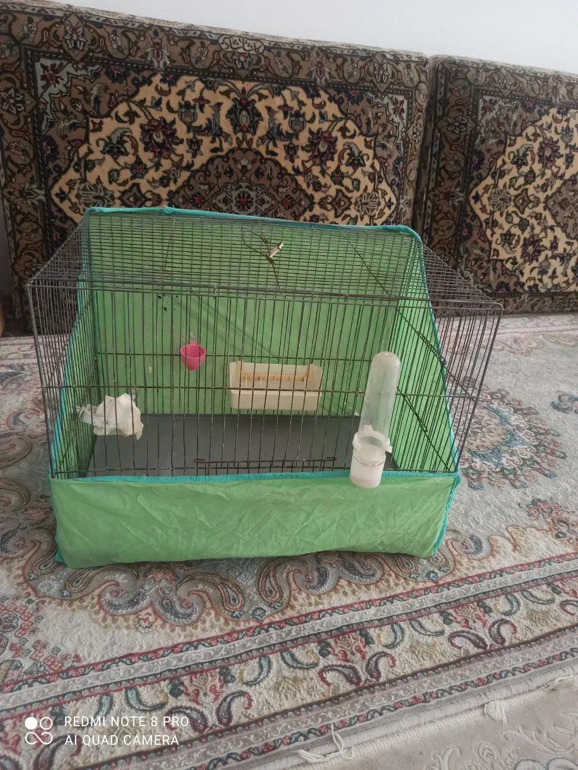 قفس 2 عدد سایز بزرگ با وسایل|لوازم جانبی حیوانات|قرچک, شهرک الحدید|دیوار