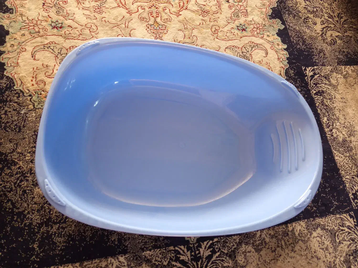 وسیله گربه|لوازم جانبی حیوانات|مشهد, چهارچشمه|دیوار