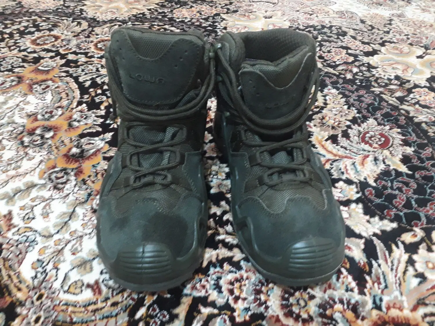 کفش کار|کوهنوردی و کمپینگ|بندرعباس, |دیوار