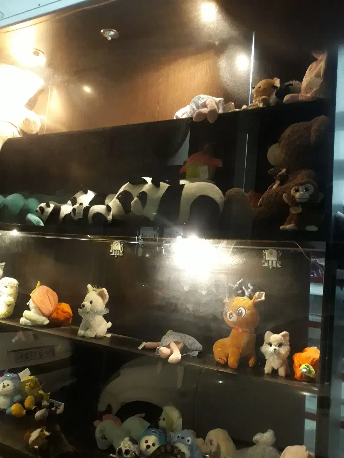 قفسه ودکور مغازه|فروشگاه و مغازه|فشم, |دیوار