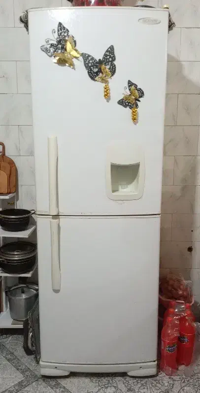 یخچال|یخچال و فریزر|تربتحیدریه, کوی شهید احمدزاده ملکی|دیوار