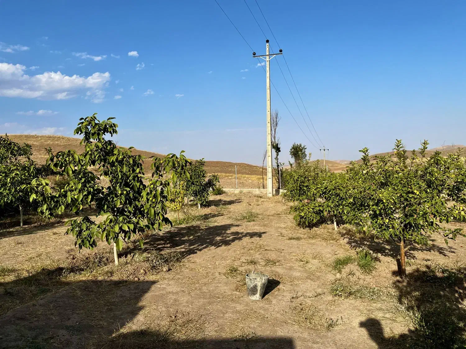 فروش باغی در چاوقون|فروش خانه و ویلا|شوط, |دیوار