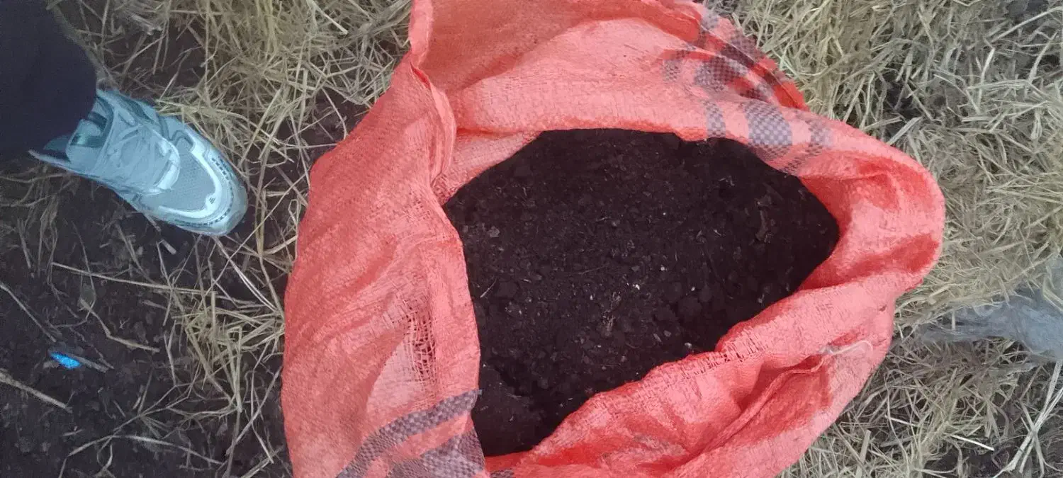 سلام کود حیوانی چند سال هست الک شده گونی|خدمات باغبانی و درختکاری|سیاهکل, |دیوار