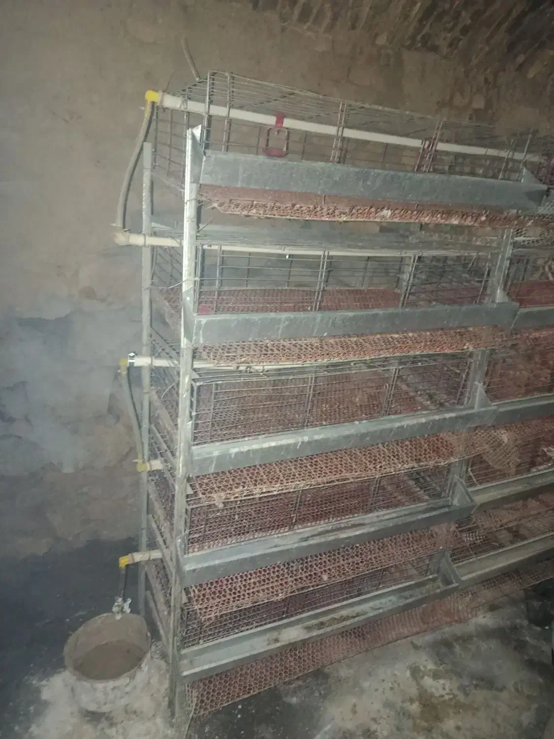 قفس|لوازم جانبی حیوانات|گناباد, |دیوار