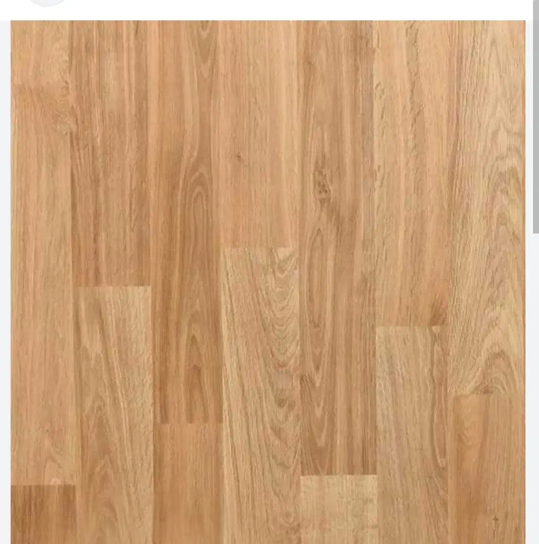 پارکت لمینت آلمانی وترکیه|مصالح و تجهیزات ساختمان|زنجان, |دیوار