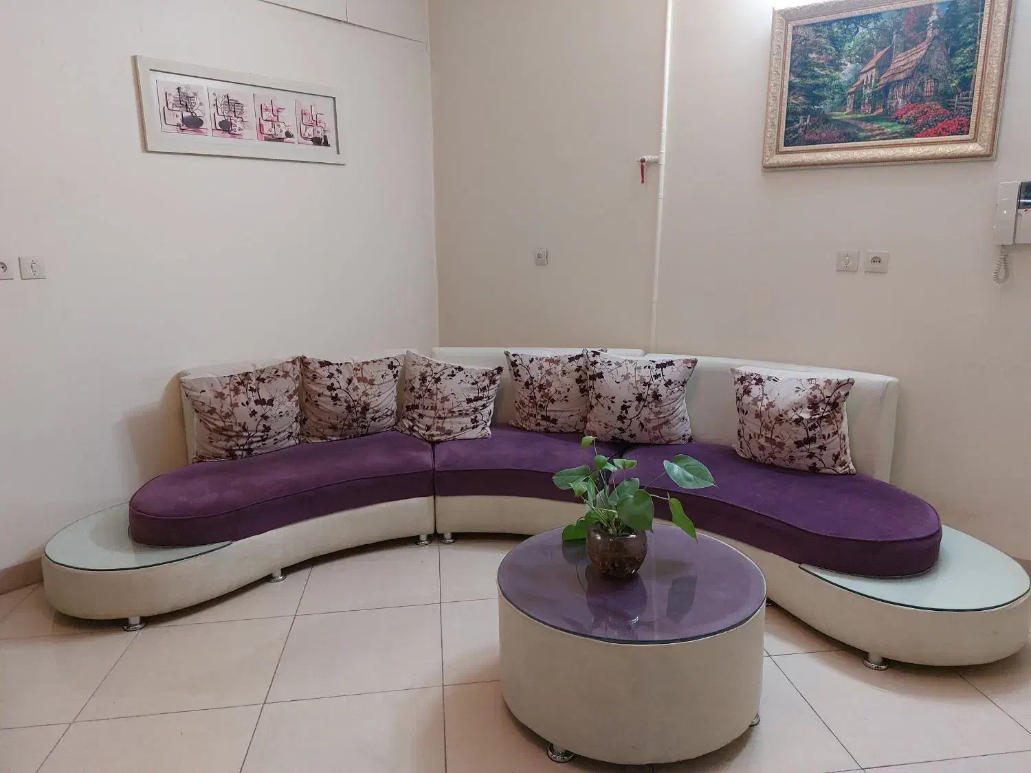 مبلمان|مبلمان خانگی و میز عسلی|اصفهان, باغ دریاچه|دیوار