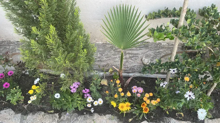 اجاره باغ ویلا استخر و جکوزی تمیز|اجارهٔ کوتاهمدت ویلا و باغ|مشهد, امیریه|دیوار