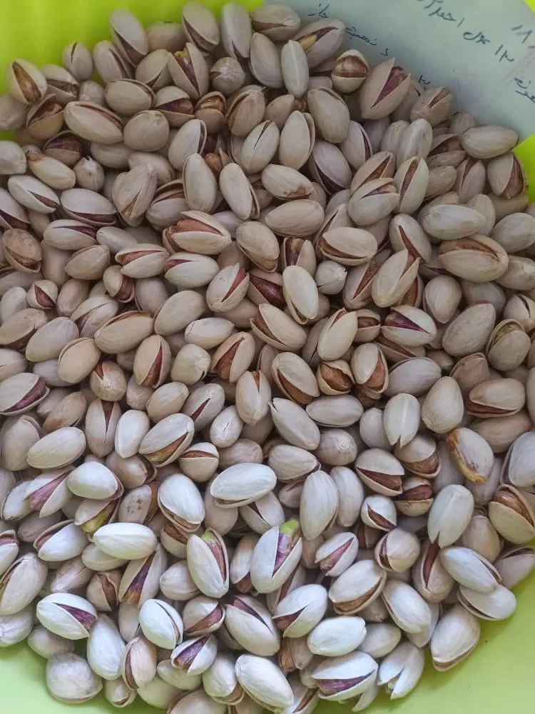پسته احمداقایی رفسنجان مستقیم از کشاورز|خوردنی و آشامیدنی|تهران, منصوریه منگل|دیوار