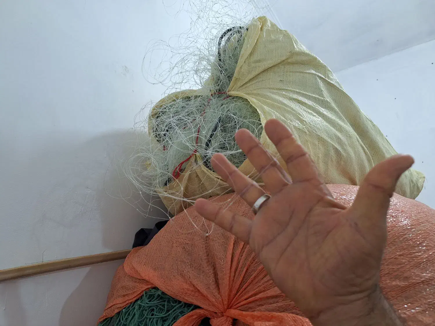 تور پرسوکی(سنگ سری)|ماهیگیری|بندر دیر, |دیوار