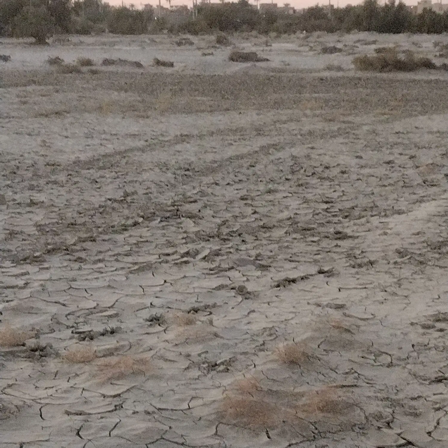 زمین مزروعی اول سوراپ روبه روی موتوراب بیجارزهی|فروش زمین و ملک کلنگی|ایرانشهر, |دیوار