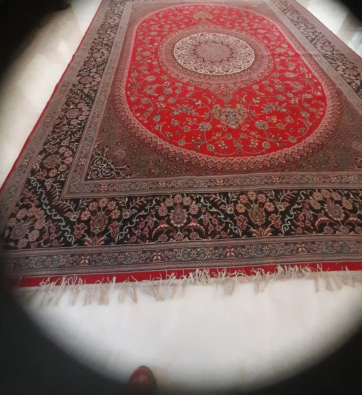 قالی و کلر آبی|فرش|کرمان, |دیوار