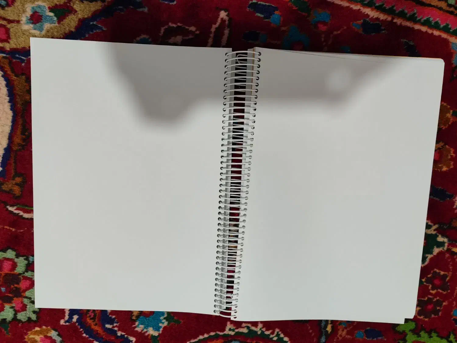 کتاب|کتاب و مجله|سلماس, |دیوار