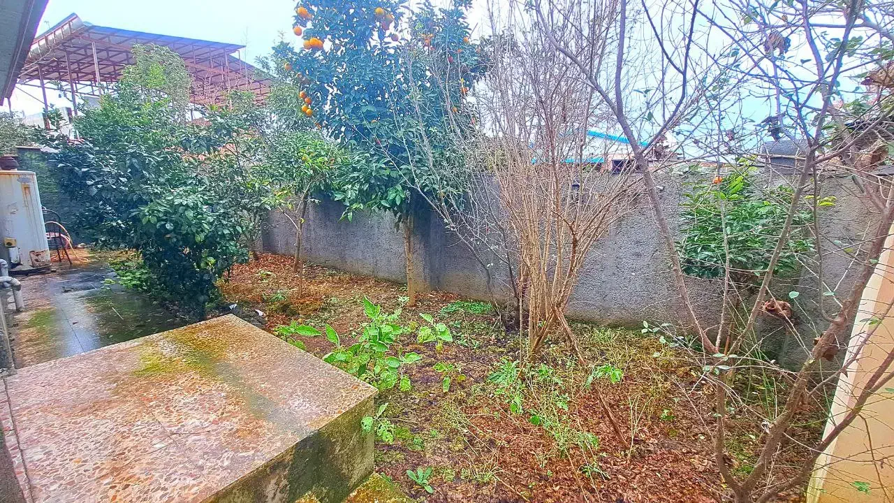 نیم پیلوت حیاط دار با درختان میوه چند ساله|فروش خانه و ویلا|تهران, افسریه شمالی|دیوار