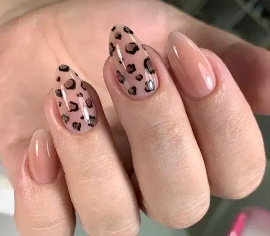 آموزش و خدمات ناخن|خدمات آرایشگری و زیبایی|رشت, فلسطین|دیوار