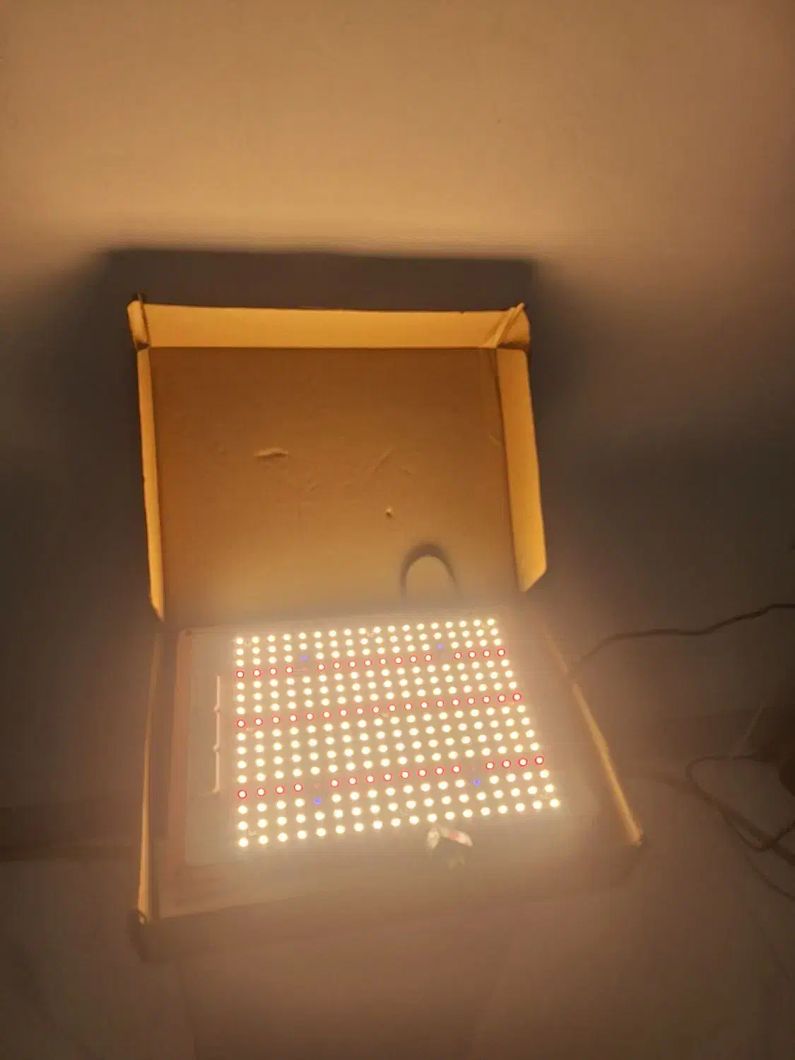 پنل رشد گیاه|گل و گیاه طبیعی|رشت, حاجی آباد|دیوار