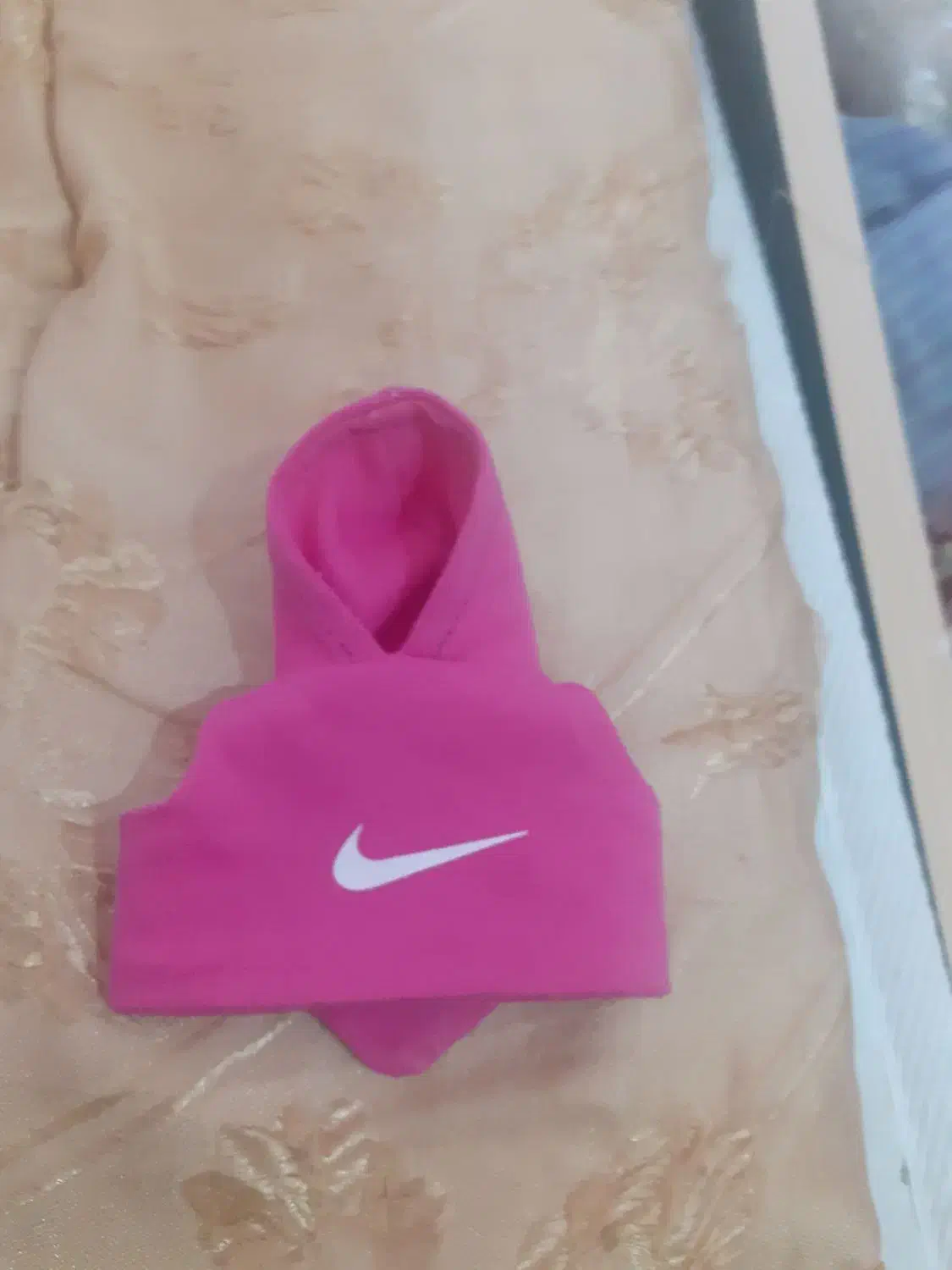 طوطی برزیلی . هودی طوطی|پرنده|کازرون, |دیوار