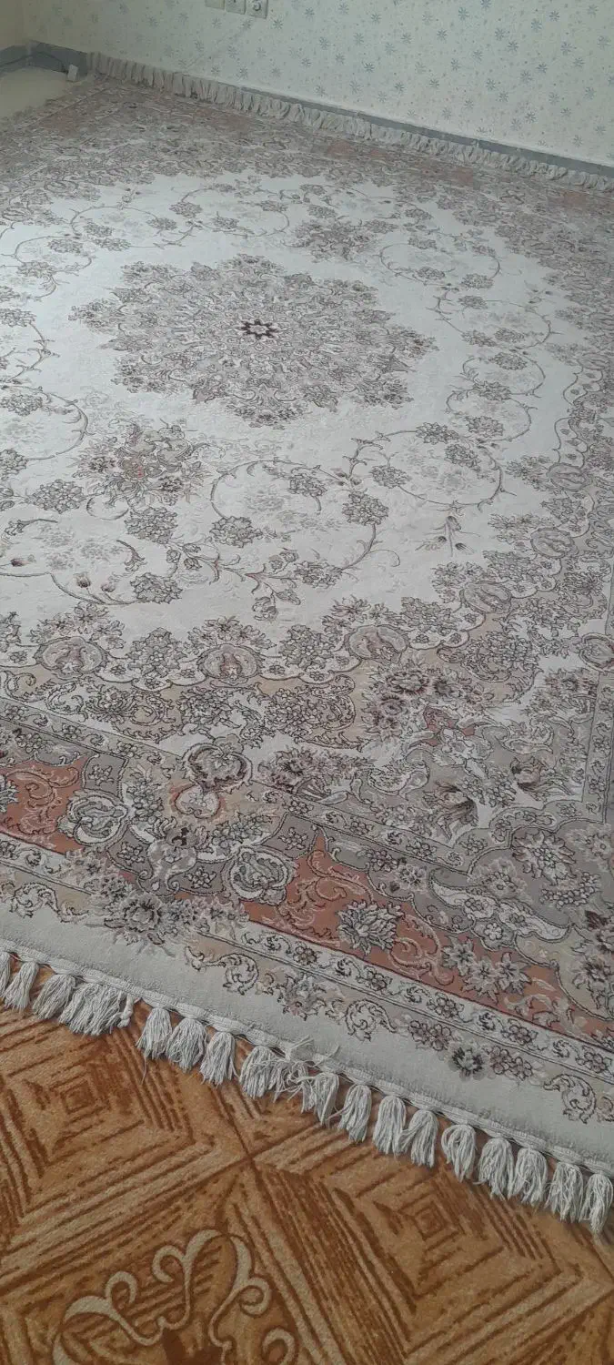 قالی 12متری|فرش|شیروان (خراسان), |دیوار