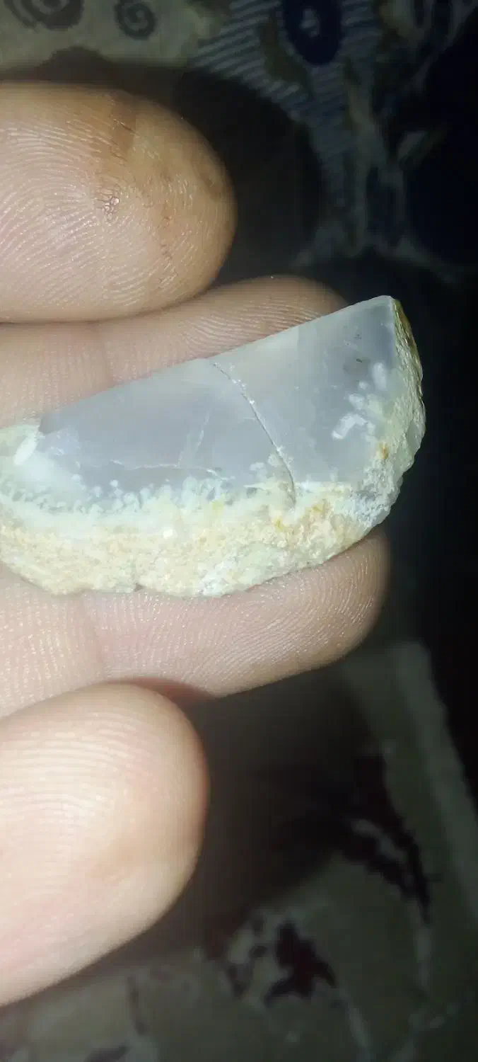 سنگ شجر|کلکسیون اشیاء عتیقه|زابل, |دیوار