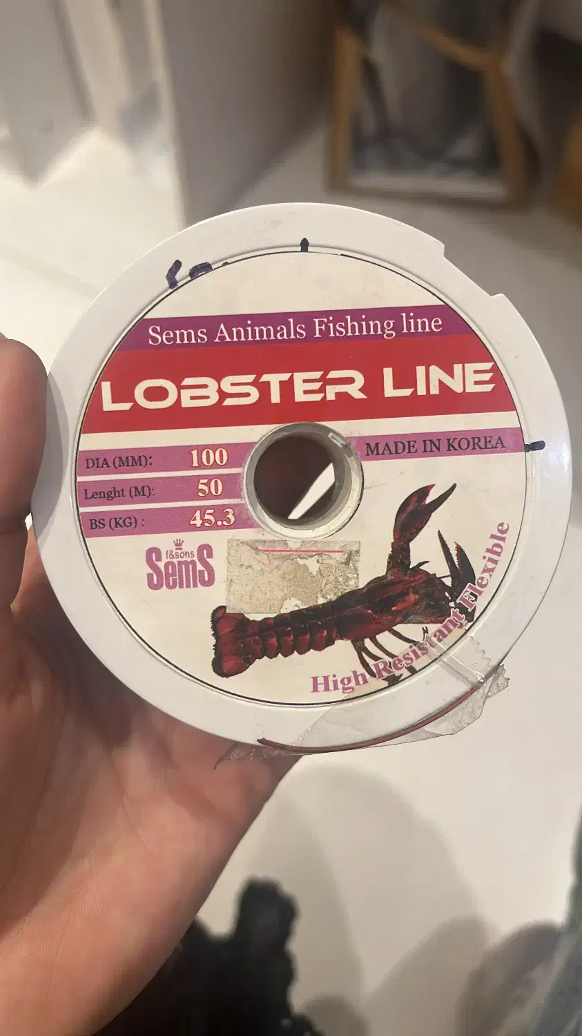 نخ ماهیگیری|ماهیگیری|اصفهان, نقش جهان|دیوار