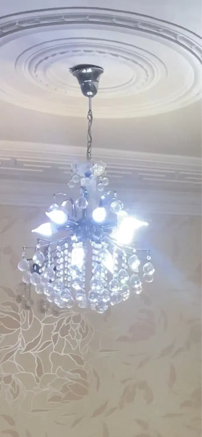 لوستر|لوستر و چراغ آویز|بوشهر, |دیوار