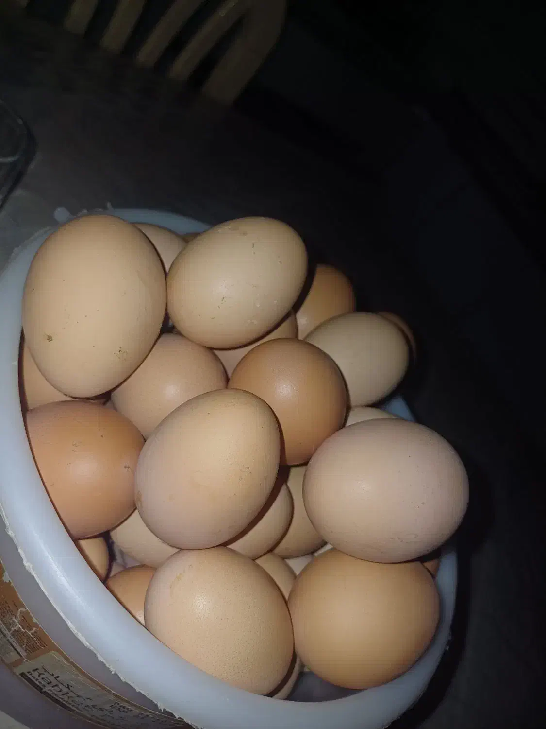 تخم مرغ رسمی محلی|خوردنی و آشامیدنی|همدان, |دیوار