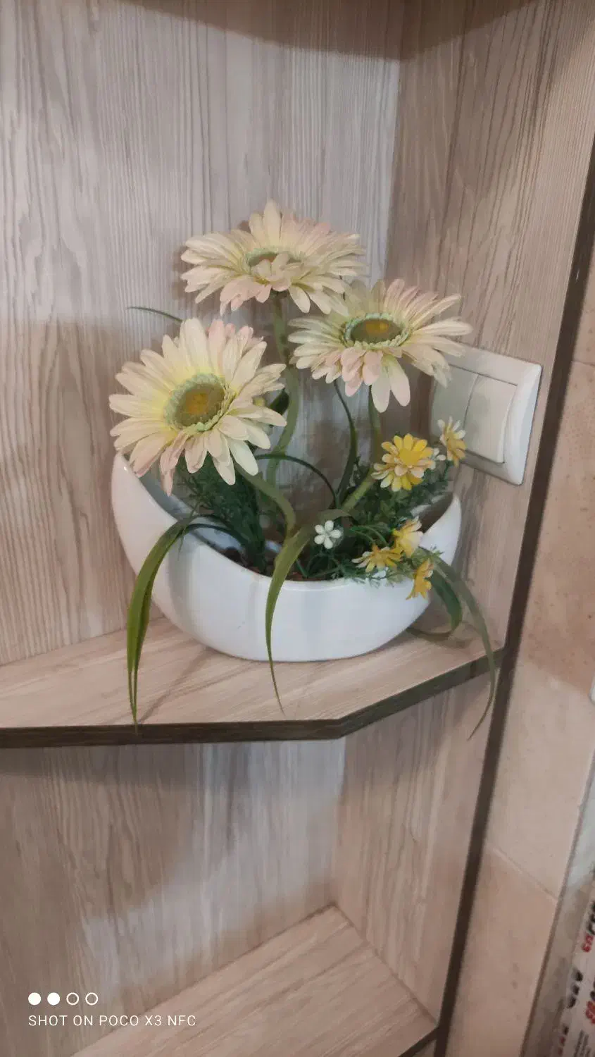 گلدان شیک و زیبا|گل مصنوعی|تبریز, |دیوار