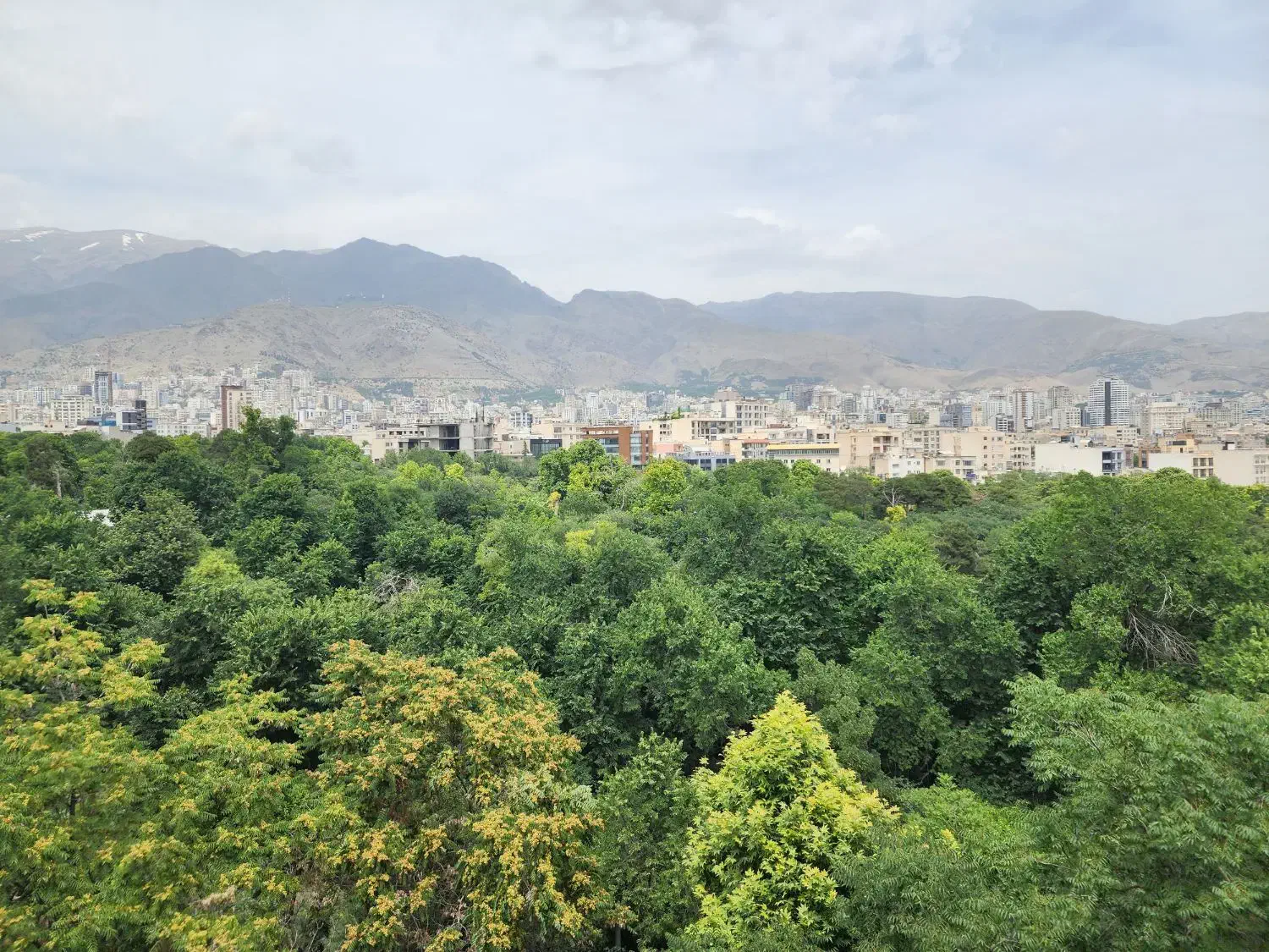 ۲۲۰ متر تکواحدی مدرن تراس قابل چیدمان دید پارک|اجارهٔ آپارتمان|تهران, قیطریه|دیوار