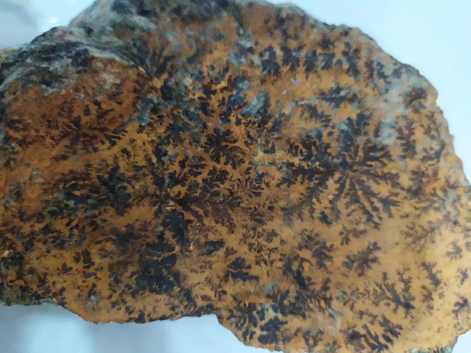 سنگ شجرطلایی|زیورآلات و اکسسوری|نیشابور, شهرک اندیشه|دیوار