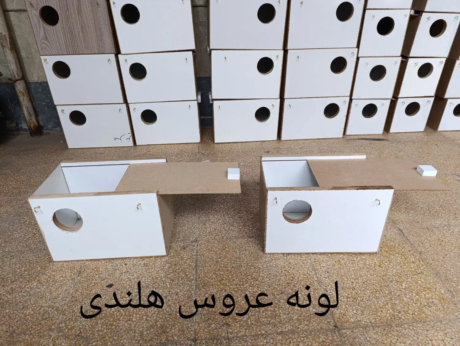 ساخت انواع لونه پرنده|لوازم جانبی حیوانات|بندر ماهشهر, |دیوار