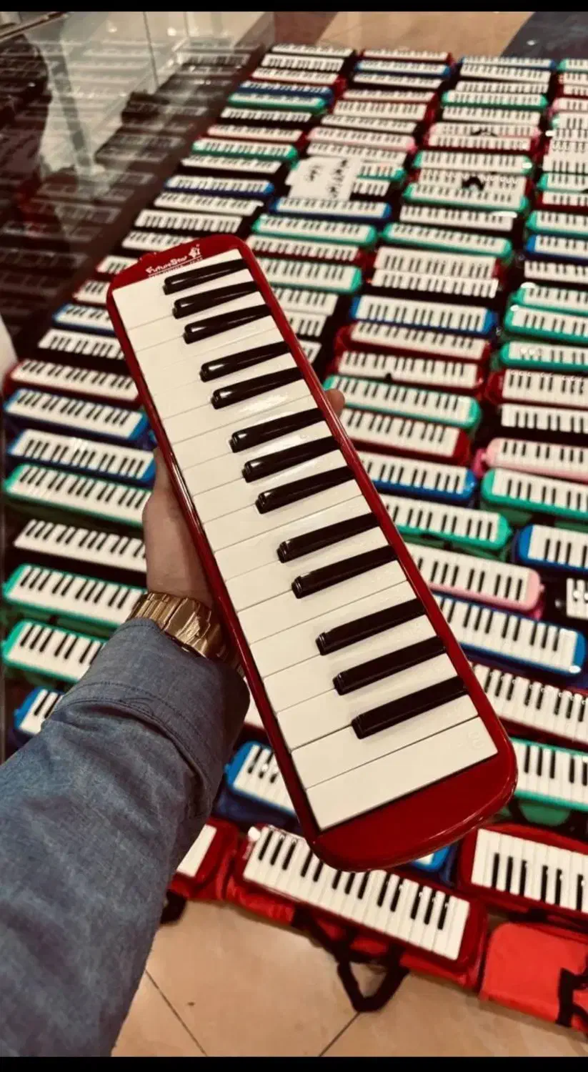 ملودیکا سوان|سازهای بادی|مشهد, طلاب|دیوار