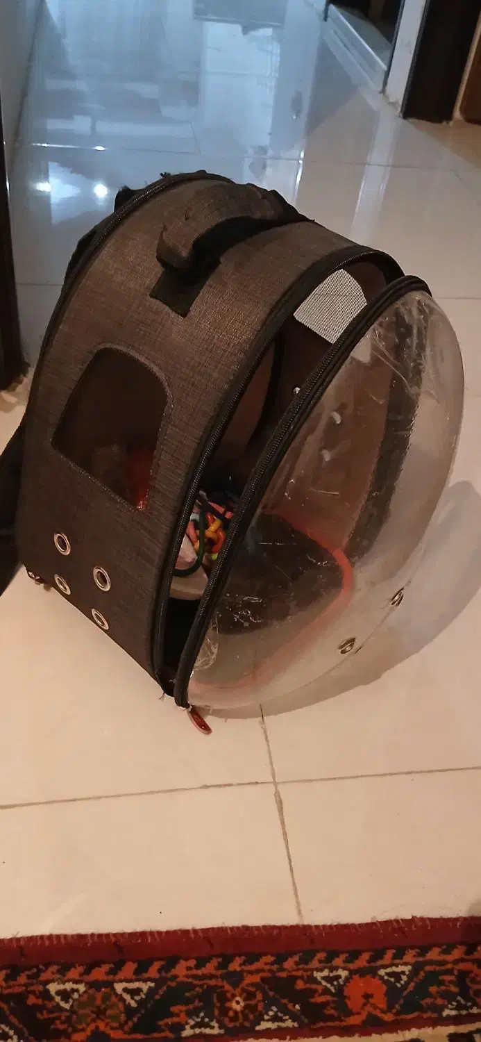 فروش وسایل جانبی سگ خانگی|لوازم جانبی حیوانات|شیراز, شهرک بزین|دیوار