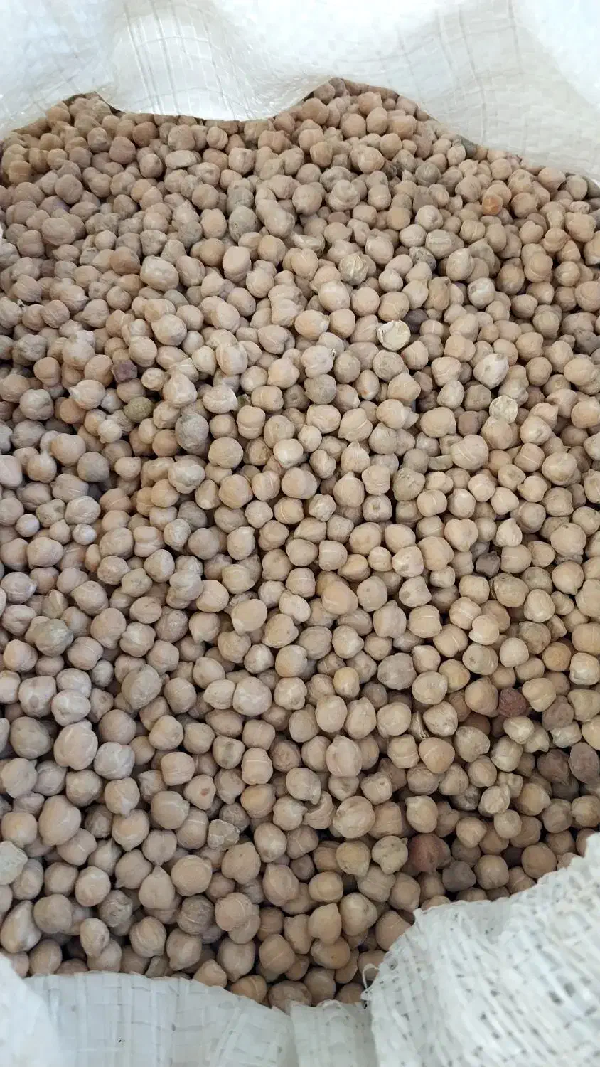 نخود خوراکی|خوردنی و آشامیدنی|قشلاق دشت, |دیوار