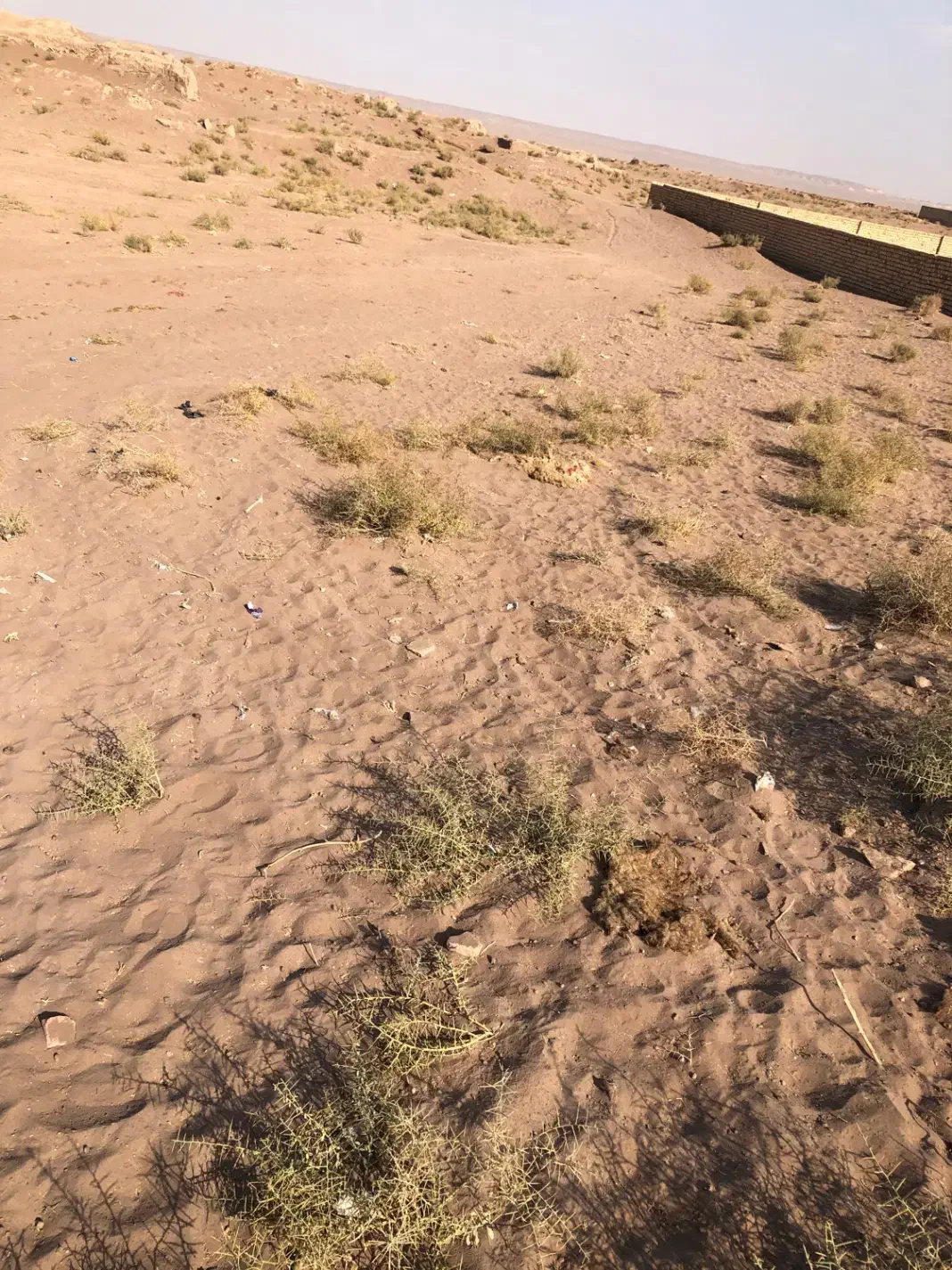 زمین فروشی روستای حسین آبادمیش مست|فروش زمین و ملک کلنگی|قنوات, |دیوار