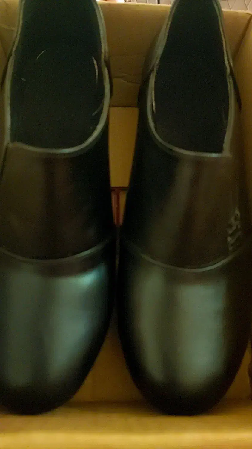 کفش سایز ۴۱ یا ۴۲|کیف، کفش، کمربند|صومعهسرا, |دیوار