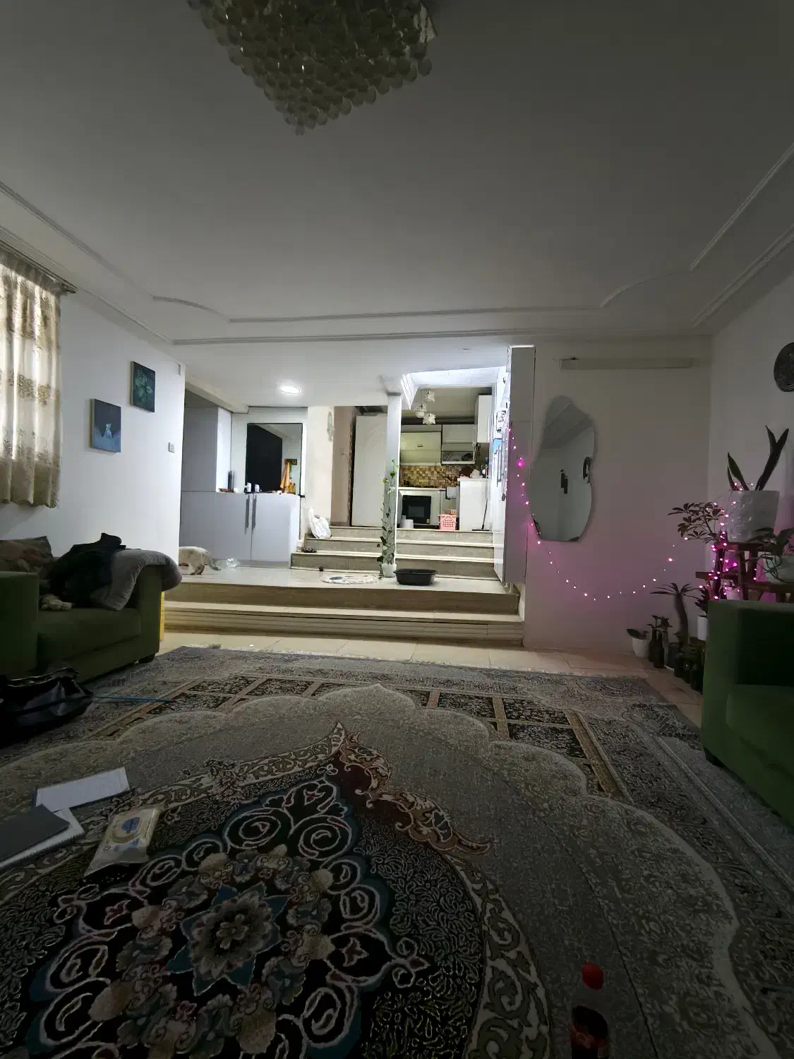 همخانه موجه و شاغل|اجارهٔ آپارتمان|شیراز, شهرک بهشتی|دیوار