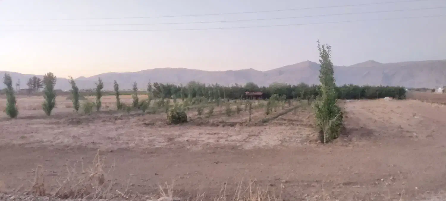 ۲۰۰۰متر باغ|فروش زمین و ملک کلنگی|سیدان, |دیوار