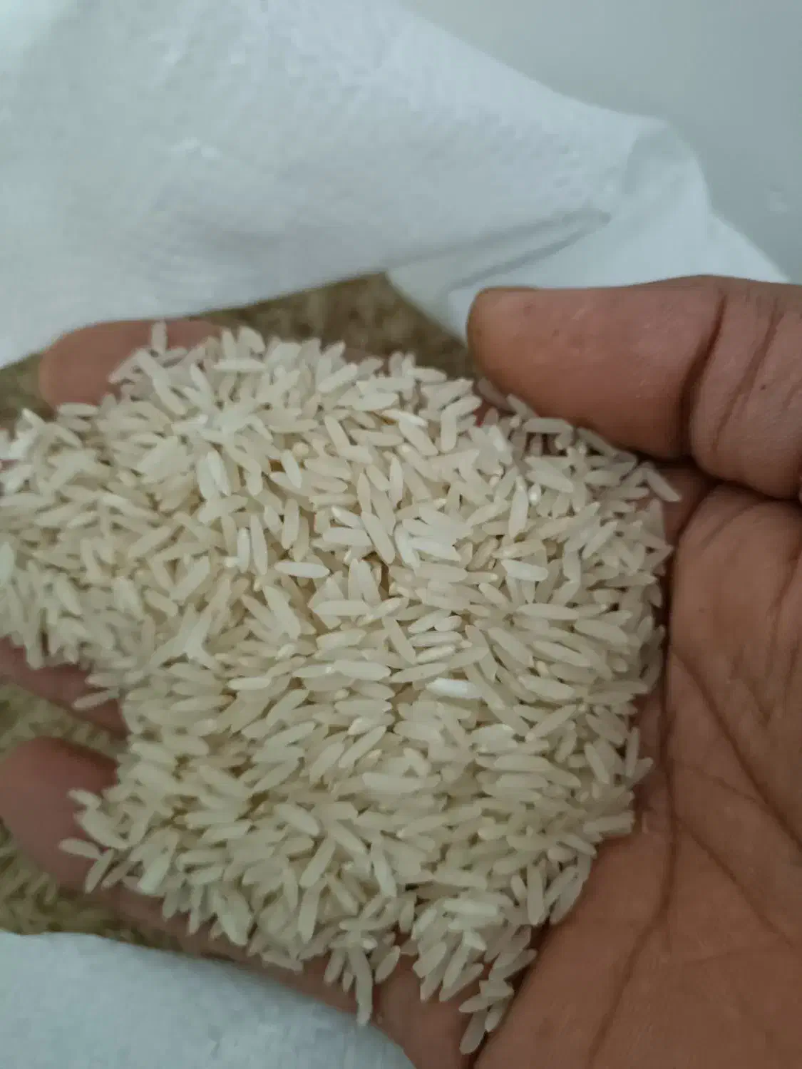 برنج بهنام|خوردنی و آشامیدنی|کاشان, مشکات|دیوار