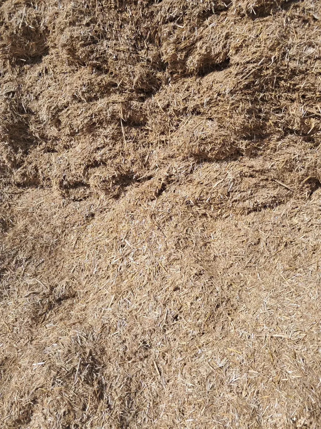 فروش کاه|حیوانات مزرعه|شیراز, لاله|دیوار