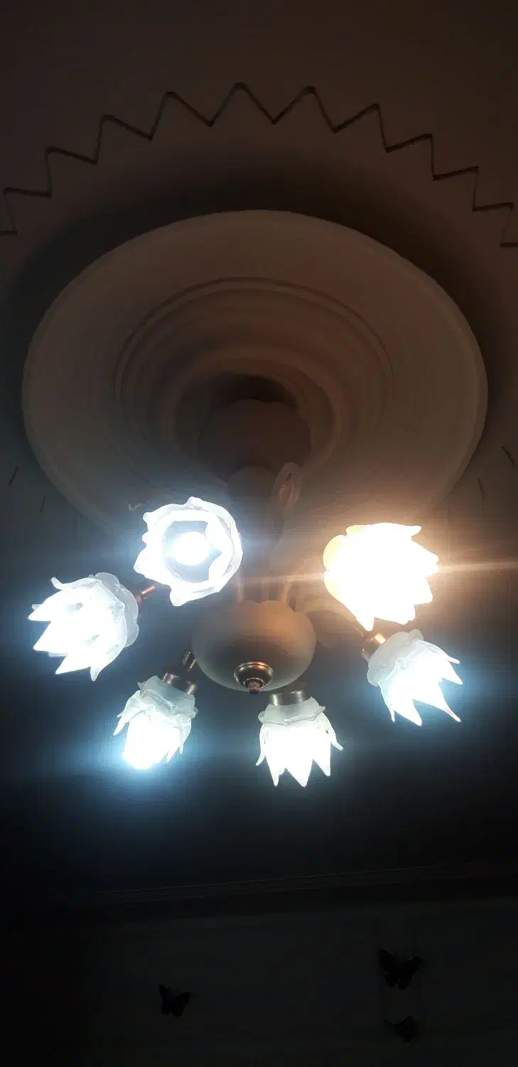 لوستر ۶ شاخه|لوستر و چراغ آویز|ابهر, |دیوار